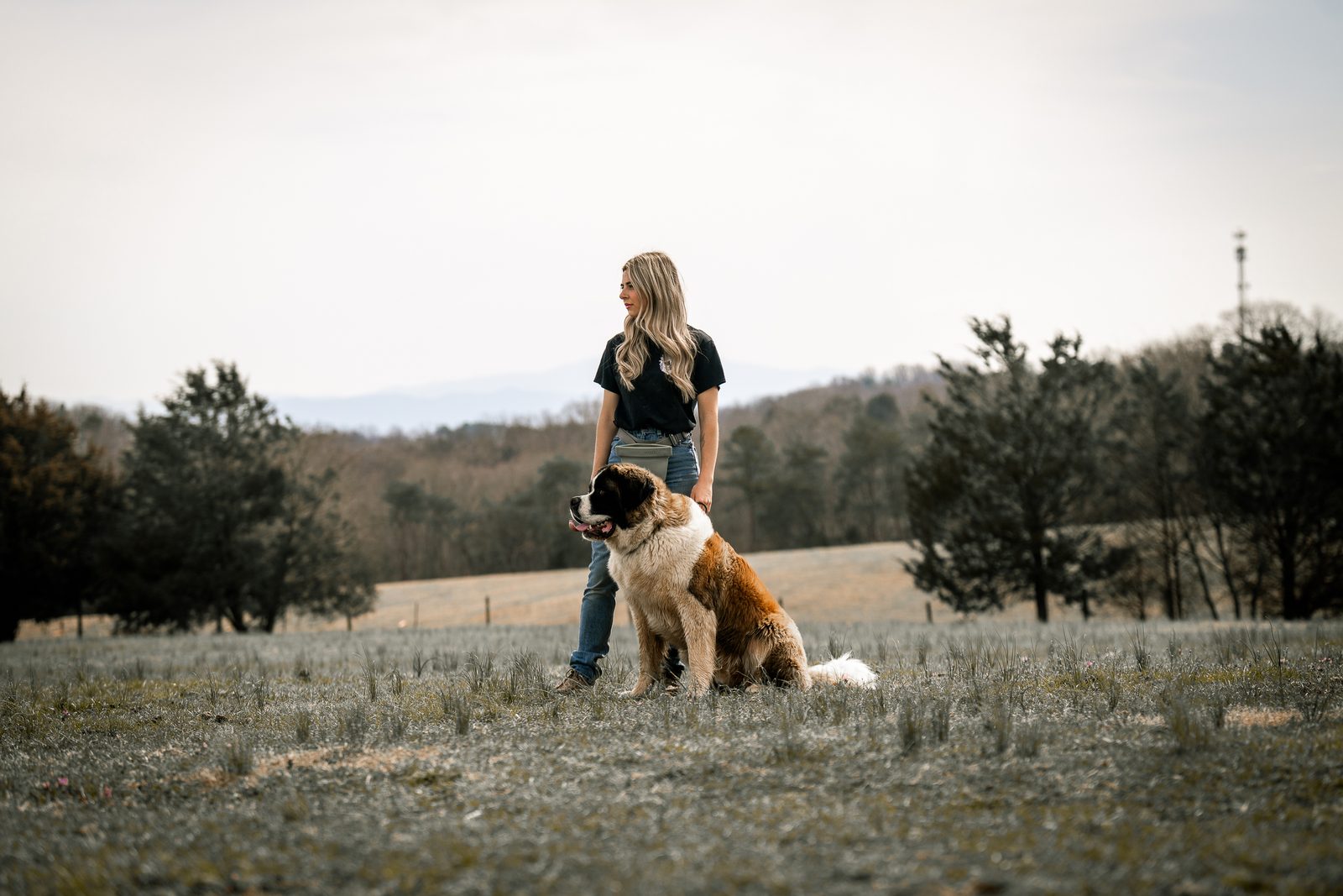 A woman and a seated Saint Bernard in an open field