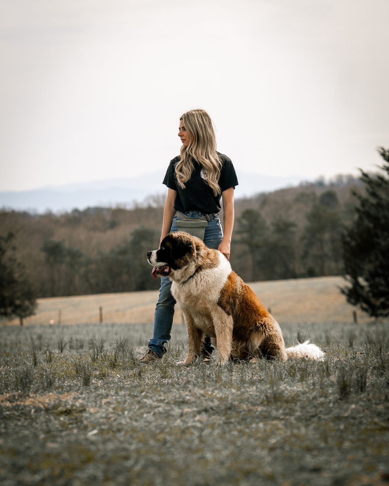 A trainer glances aside as a Saint Bernard sits beside her in a field