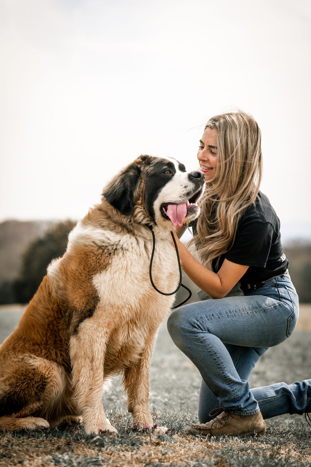 A trainer kneels and smiles nose to nose with a big Saint Bernard in a field